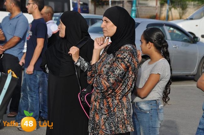 lud 3omrajs (40).JPG